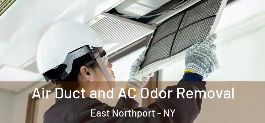  Air Duct and AC Odor Removal East Northport - NY