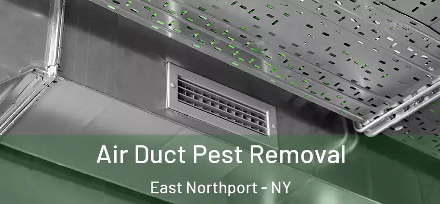  Air Duct Pest Removal East Northport - NY