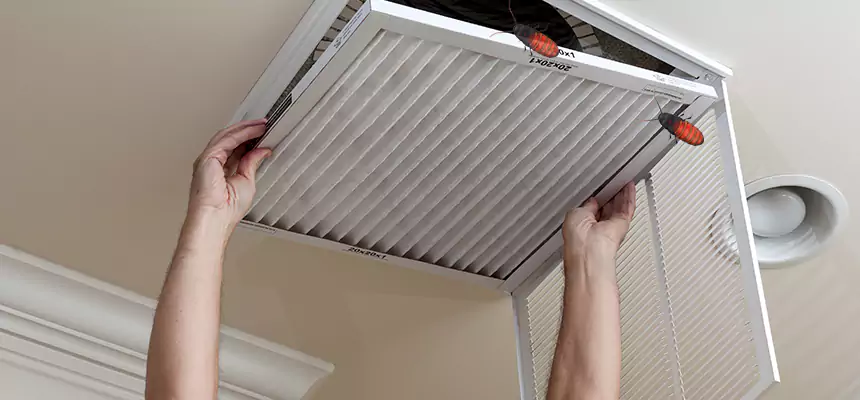 Preventive Cockroach-Proofing for Ducts in East Northport