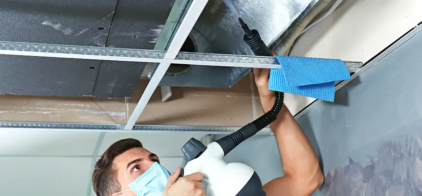 Our Air Duct Rodent Removal Services in East Northport, NY