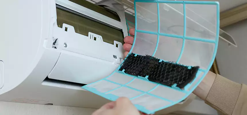 Gentle Ductwork Odor-Control Pet Dander Duct Cleaning in East Northport, NY