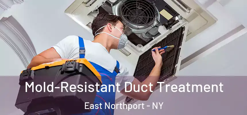  Mold-Resistant Duct Treatment East Northport - NY
