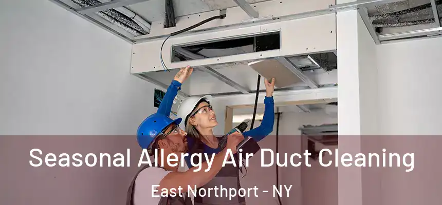 Seasonal Allergy Air Duct Cleaning East Northport - NY