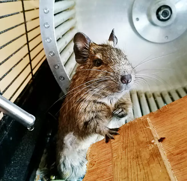 Why Homeowners & Businesses Trust Us East Northport, NY