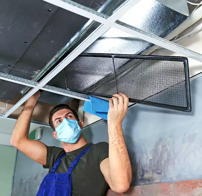 Why Homeowners Businesses Trust Us in East Northport, NY